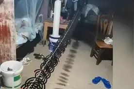 男子被蚊子咬得睡不着，将几十盘蚊香同时点燃：杀敌一千自损八百图片