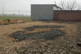 完蛋！外墙砖太丑，恨不得拆了重贴，19万自建一层平房闹心了图片