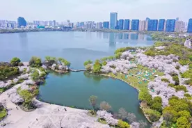 柯桥：擦亮红色印记 奋力领跑竞跑图片