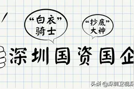 资本圈奉为“抄底大神”的深圳国资国企，被国务院点名图片