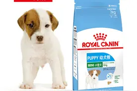 市面上都有什么垃圾猫狗粮图片