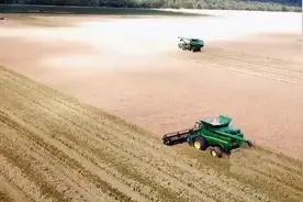 美国农场有多牛？看过发现我们还需努力，网友：差距不是一般的大图片