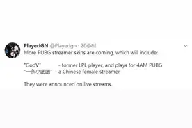 蓝洞终于认识到了谁才是PUBG大哥，韦神，小团团迎来专属皮肤！图片