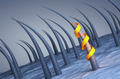 发质受损太严重？不妨试试发膜吧