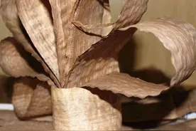 玉钗斜簪云鬟髻，古代女子发型如此繁琐，没有发胶如何盘起发髻？图片