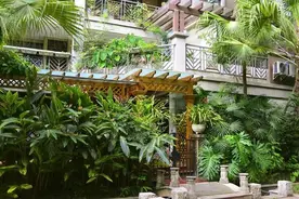 住在一楼的家里太潮湿、有霉味？看完这里就可以跟它说再见了图片