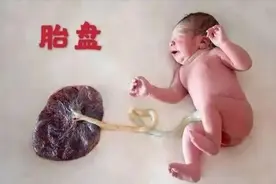 生娃后，胎盘该怎么处理？“埋掉”还是“吃掉”？两者结果大不同图片