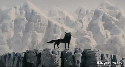 关于演绎狼的电影你知道哪些？