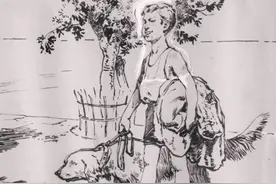 动物故事：为护主，老狗与歹徒奋战一整晚，第二天悄悄跳了崖图片