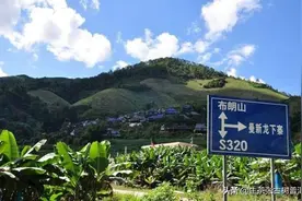 解析：布朗山8大村寨普洱茶特点，布朗山普洱茶知识大全图片