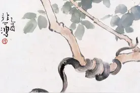 蛇那么可怕，为什么老人却说“家蛇不能打”？图片