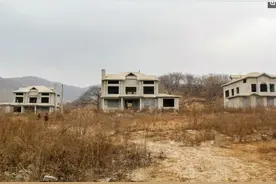 山村百万别墅被荒废，村民苦寻房主无果，惋惜“天降横财”图片