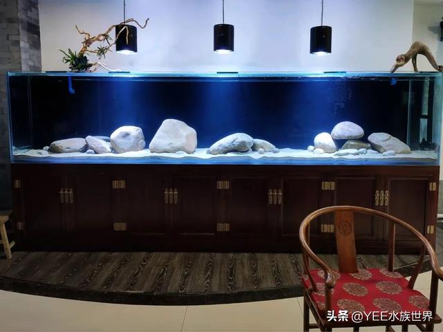 给底滤鱼缸做干湿分离，理论合理，效果惹争议