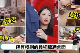 从湖南卫视一姐，到被骂表面光鲜内里不堪，李湘做错了什么图片