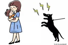市区划定养犬严格管理区和一般管理区：严格管理区内禁养52种烈性犬大型犬图片