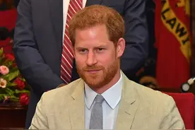 舍不得哥哥！在离开英国前，哈里一直注视着威廉，想逗哥哥笑图片
