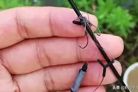 台钓｜揭露子线缠绕秘密，详解3种原因并合理改变，轻松解决难题图片