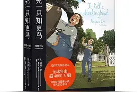 给10岁+孩子的图像小说书单：一个月读完12本名著图片