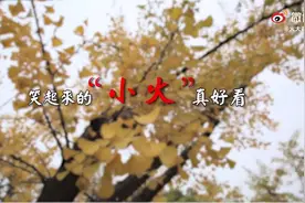 你笑起来真好看！火箭军200名东风快递员一起合跳图片