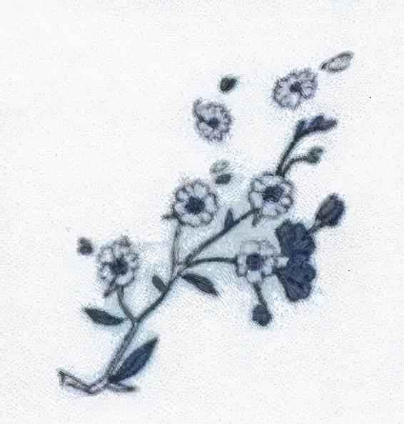 欧舒丹身体乳盖子掉漆