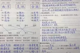 9岁男孩写字被误认为印刷体，老师不忍心扣分，网友：王羲之再世图片