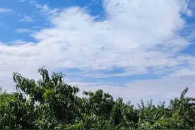 古代称的含义你了解吗图片