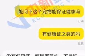活体动物被塞进快递箱 小心“盲盒经济”过了火图片