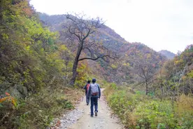 药王孙思邈去过秦岭这条沟，如今人都搬走了，里面到处都是空房子图片