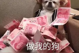 表情包来啦：反正爱情不都这样图片