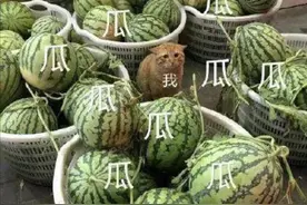 渣男语录大盘点，五花八门好，你中了几条？图片