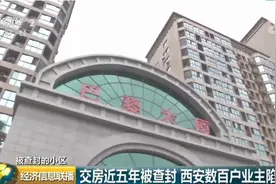 【以案说法】法院查封一小区，业主们都懵了！这样产权的房子，你得知道咋回事图片