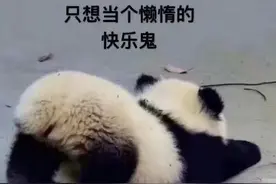 一些可爱的脑筋急转弯图片