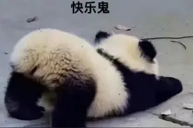一些可爱的脑筋急转弯图片