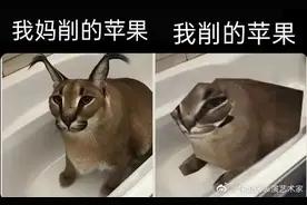 “妈妈有哪些全国统一的行为？”哈哈哈哈每一条都好真实图片