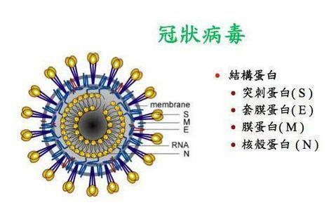 碳基生物是怎么回事？「高中生物讲解」1.2.4-1.2.5