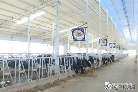 朔州海关精准发力 助力企业抗疫保产图片