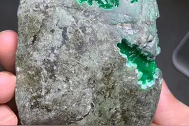 南齐，色非常的辣绿，大面积开窗图片