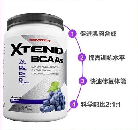 需要VS不需要？健身补剂之谷氨酰胺，健身人群到底需要补充它吗？