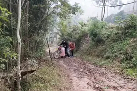 女婿骑摩托车搭丈母娘去山上收黄豆，结果路上摔了一跤，好尴尬视频封面