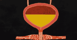 中学生物精美GIF动图来啦