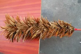 农村80年代常用的10种老物件，现在都不用了，你还能认识几种？图片