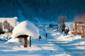 簌簌北国雪，寂寂南国心图片