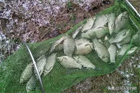 冬季钓野河，不是每段都有鱼，要找这4种位置，鲫鱼基本躲在这里图片