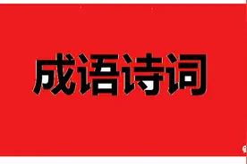 「汇总」常见的成语古诗词图片