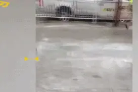 硬核！路边一消防栓爆裂狂喷水，小伙坐水桶人肉压水花图片