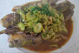 此鱼正当时，无磷少刺营养高，肉质鲜嫩易消化，老人孩子要多吃图片