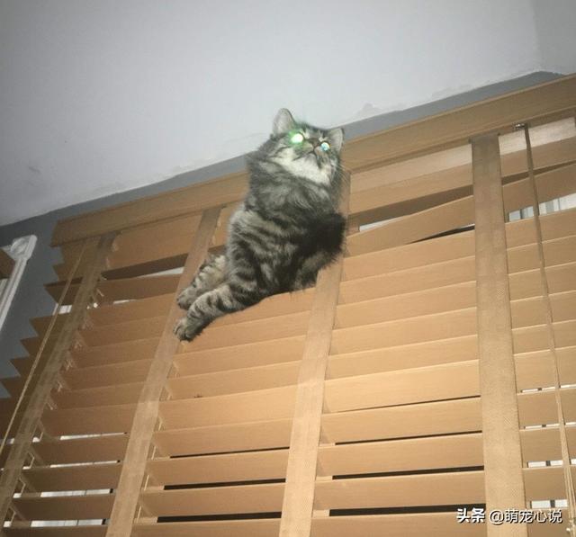 èɵ𣿹èԺעϲ