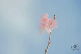 “别走回头路，别爱旧时人”图片