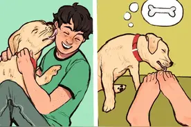 其实你根本不了解你的狗狗！不信？下面8种狗狗行为，你了解几个图片