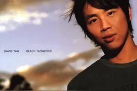 《黑色柳丁》专辑，就是陶喆音乐生涯的巅峰之作？图片